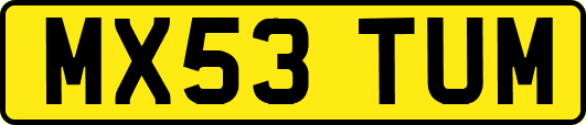 MX53TUM