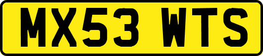 MX53WTS
