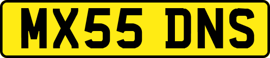 MX55DNS