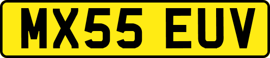 MX55EUV