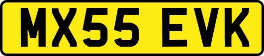 MX55EVK