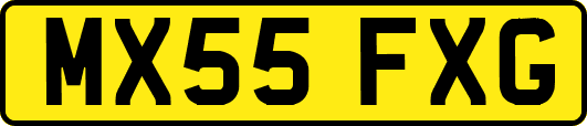 MX55FXG