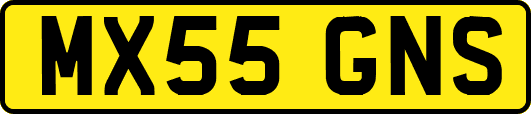 MX55GNS