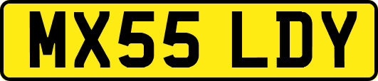 MX55LDY