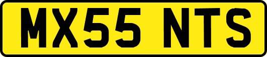 MX55NTS