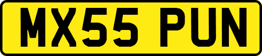 MX55PUN