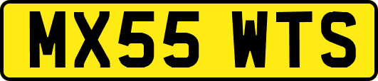 MX55WTS