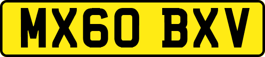 MX60BXV