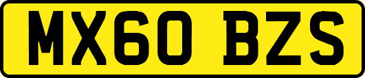 MX60BZS