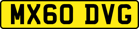 MX60DVG