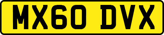 MX60DVX