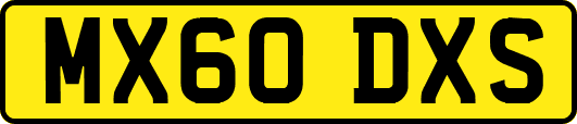 MX60DXS