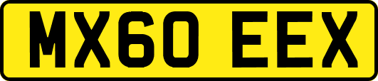 MX60EEX