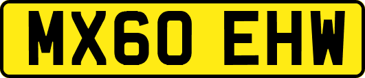 MX60EHW