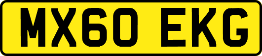 MX60EKG