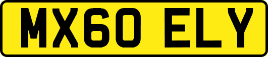 MX60ELY