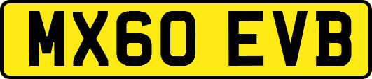 MX60EVB