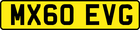 MX60EVG