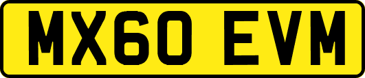 MX60EVM