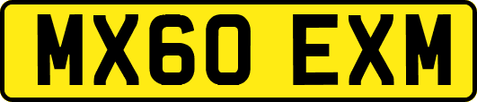 MX60EXM