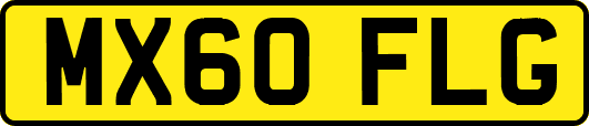 MX60FLG
