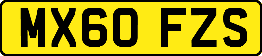MX60FZS