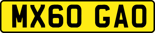 MX60GAO