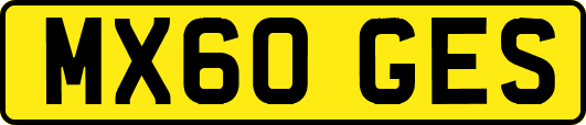 MX60GES