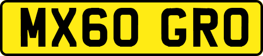 MX60GRO