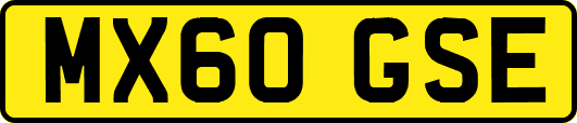 MX60GSE