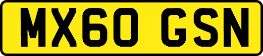 MX60GSN