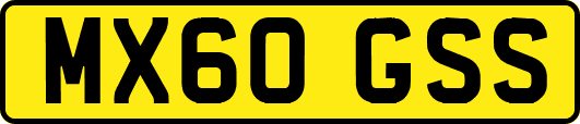MX60GSS