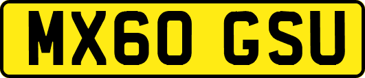 MX60GSU