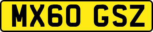 MX60GSZ