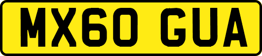MX60GUA