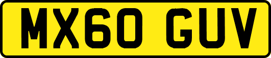 MX60GUV