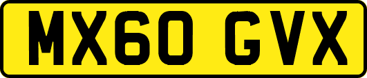 MX60GVX