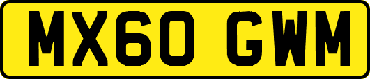 MX60GWM