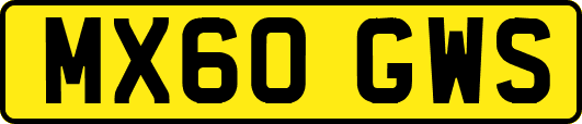 MX60GWS
