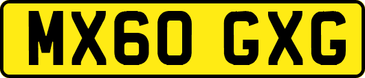 MX60GXG