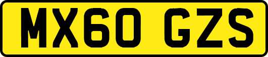 MX60GZS