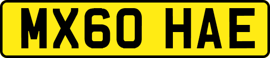 MX60HAE