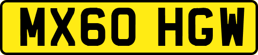 MX60HGW