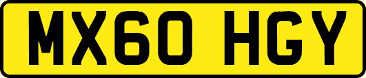 MX60HGY