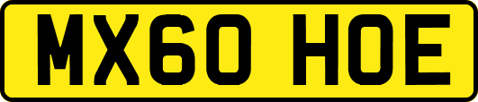 MX60HOE