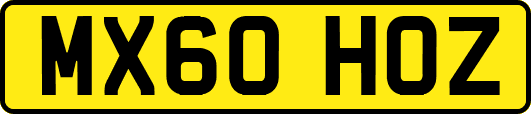 MX60HOZ