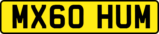 MX60HUM