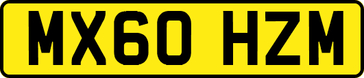 MX60HZM