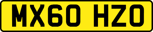 MX60HZO