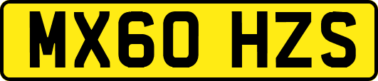 MX60HZS